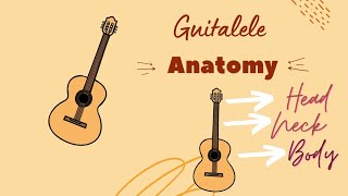 GuitaleleGuilele Anatomy  How to Play Guitalele for Beginners [upl. by Wesla]