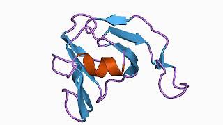 Protease inhibitor biology  Wikipedia audio article [upl. by Meryl]