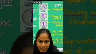 Prophase 1 stages Shortcuts  Meiosis  NEET  Suman Yadav ncert biology [upl. by Cleopatra]