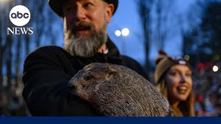 Watch Punxsutawney Phil make 2024 Groundhog Day prediction  NBC News [upl. by Anahcra]