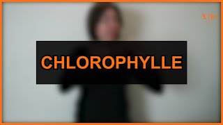 Chlorophylle Botanique  LSF [upl. by Bocyaj362]