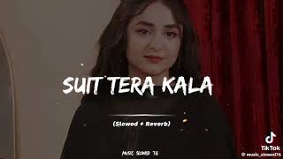 suit tera Kala Kala full song [upl. by Isoj902]