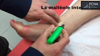 TUTORIEL ANATOMIE CHEVILLE [upl. by Loydie]