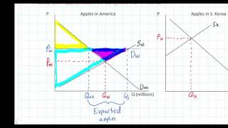 The Gains from International Trade in the Demand and Supply model [upl. by Ramahs]