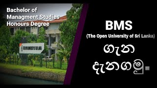 Honours Management Degree in Open University BMS [upl. by Constantia]