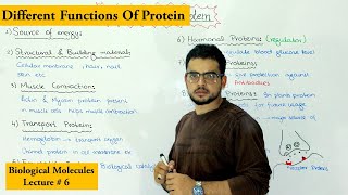 Functions of Protein [upl. by Melnick]