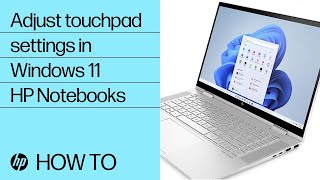 How to adjust touchpad settings in Windows 11  HP Notebooks  HP Support [upl. by Garris]