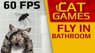 CAT GAMES  😺 Fly in the Bathroom VIDEO FOR CATS TO WATCH 60FPS [upl. by Vrablik]