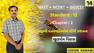 Endosperm development ભ્રૂણપોષ વિકાસ​ in gujarati  std 12 ch 2 part 14 [upl. by Latia581]