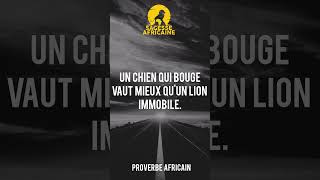 Proverbe Africain 47 millionviews short sagesse philosophie abonnetoi sagesseafricaine [upl. by Olifoet]