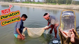 क्या आप पानी में प्लैंकटन देख सकते हैंhow to check plankton in pond zooplankton fishinfo [upl. by Zippel]