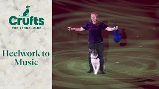 Heelwork To Music Competition Winner  Crufts 2024 [upl. by Guglielma966]