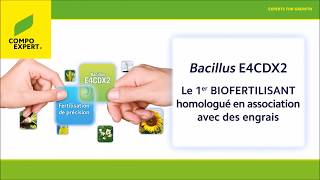 COMPO EXPERT  Fonctionnement du Bacillus E4CDX2 [upl. by Aicilla779]