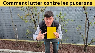 Comment lutter contre les pucerons [upl. by Carleen]