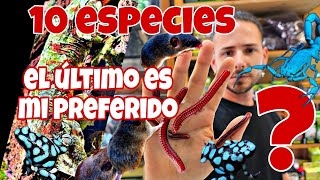 10 NUEVOS ANIMALES RANAS🐸 LAGARTOS🦎 ESCORPIONES🦂MAMIFEROS🦦 INVERTEBRADOS🐛 El último mi favorito 😱 [upl. by Rayham]