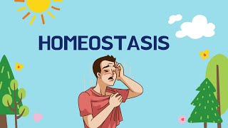 What is Homeostasis in Biology [upl. by Nahttam292]