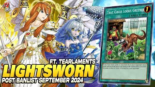 Deck Lightsworn Tearlaments Post Banlist EDOPRO  Replays 🎮  Decklist ✔️ [upl. by Nnylylloh25]