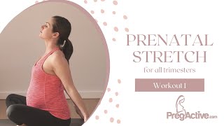 Lower Back Pain Pregnancy Stretches that Work [upl. by La Verne]