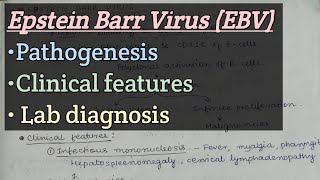 Epstein Barr Virus EBV  Pathogenesis  Clinical features  Lab diagnosis [upl. by Juli]