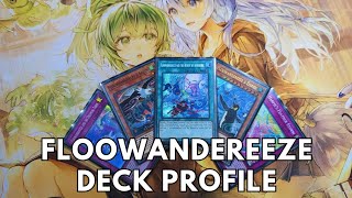 Competitive Floowandereeze deck profile November 2024 TCG Yugioh [upl. by Artsa]