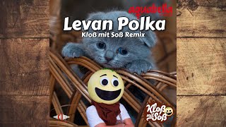 Levan Polka Kloß mit Soß Remix [upl. by Cinimod]