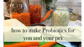 How to make Probiotics for you and your pet [upl. by Tayyebeb859]