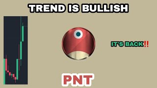 PNT COIN TREND IS BULLISH IN NOVEMBER 2023‼️ PNETWORK ROAD PRICE WILL TO MARS‼️ PNT CRYPTO IS BACK [upl. by Hildebrandt]