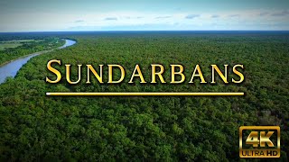 Sundarban Mangrove Forest  Sundarbans 4K  Sundarban National Park  Drone View  Scenic Scenes [upl. by Diena]