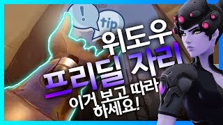 오버워치 위도우가 프리딜 자리를 잡으면 편안  오버워치 위도우 한조 장인 안산저격수 [upl. by Walcott]