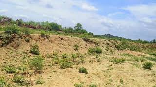 low budget agriculture land SALE for Krishnagiri district 9952163459 [upl. by Akeenat]