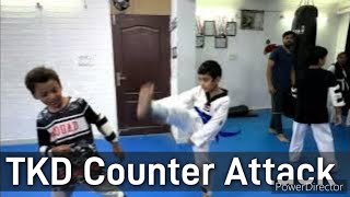 Coach Reveals Taekwondo Best COUNTER ATTACK Training Drill [upl. by Alyled]