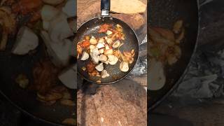 gandikota camping food mushroom curry travel jammalamadugu proddatur kadapa district [upl. by Greenland825]