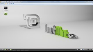 How to use VMware Linux Mint in Full Screen with VMware Tools [upl. by Lippold423]