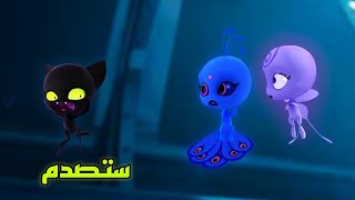 ميراكولوس 🐞 سبع معلومات لم تكن تعرفهم عن الكوامي  لن تصدق [upl. by Venable]