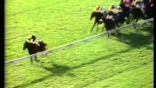 1971 Dewhurst Stakes [upl. by Nagah475]