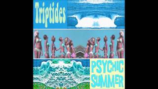 Triptides  Catch A Wave [upl. by Nettle]