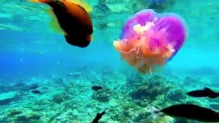 Ellaidhoo Malediven 20152016  GOPRO HERO 3 [upl. by Lorain]