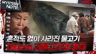 미스터리 노트 흔적도 없이 사라진 물고기 150cm 괴물고기의 정체｜미스터리노트 MBC980417방송 [upl. by Ronni]