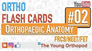 Ortho Flash Cards  Orthopaedic Anatomy 02  NEET PG USMLE  MRCS  The Young Orthopod [upl. by Sirrad]