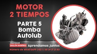 Motor 2 tiempos bomba autolub y revisión en el motor PARTE 5 [upl. by Notlrahc23]