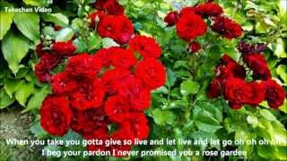 Rose Garden Lyrics Lynn Anderson [upl. by Ylloj]