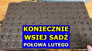 KONIECZNIE Wysiej te Warzywa w Połowie Lutego Co siać sadzić w Lutym Kalendarz Ogrodnika Warzywnika [upl. by Esidarap]