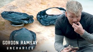 Gordon Learns How To Prepare And Cook Paua  Gordon Ramsay Uncharted [upl. by Ikkim]