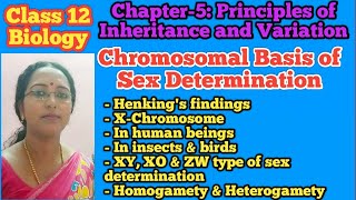 Chromosomal basis of sex determination  Class 12 Biology  NEET Biology [upl. by Anitroc]