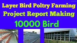 10000 Bird Layer Bird Poultry Project Report  How to prepare Layer bird Poultry Project Report [upl. by Nahor]