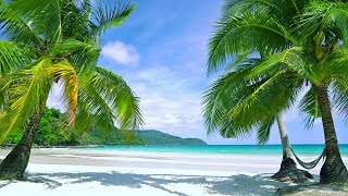 Tropical Beach White Noise for relaxation amp Sleep  Distant Ocean Wave amp Seabird Ambience [upl. by Esilrahc715]