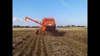 Deutz Fahr M2780H harvesting beans [upl. by Hcardahs]