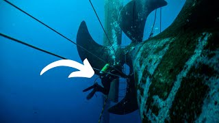 Top 10 Bizarre And Scary Jobs For Commercial Divers [upl. by Jasmina]