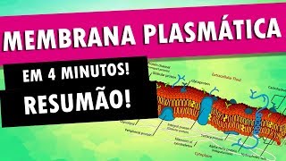 MEMBRANA PLASMÁTICA EM 4 MINUTOS [upl. by Onailil]