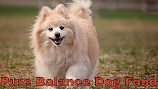 Pure Balance Dog Food That Makes Your Pet Healthy amp Strong 🐕 [upl. by Lehcor]